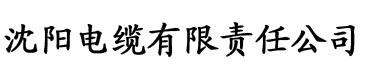 亚洲欧美一级久久精品电缆厂logo